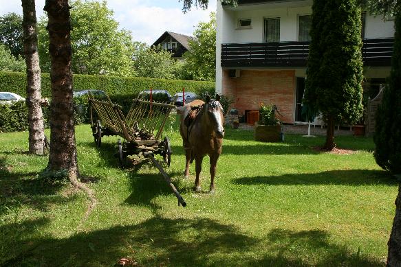 Garten mit Pony und Wagen